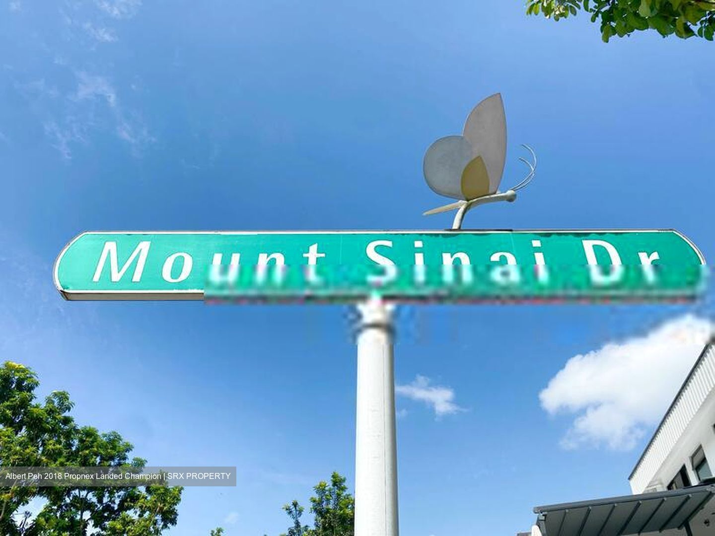 Mount Sinai (D10), Terrace #409432921